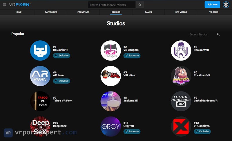 VR Porn studios
