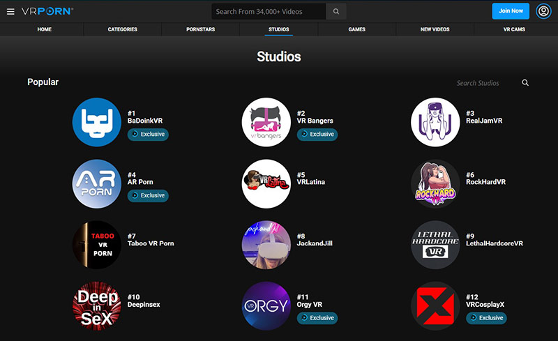 VR Porn studios